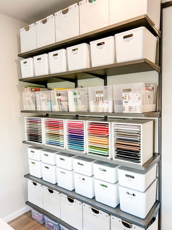 The Clarity Reset: Essentials